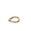 1” Steel D-Ring