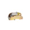 1” Steel Frame Cam Buckle