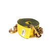 3"x 30' Strap with Chain Anchor