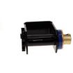 Ratcheting Web Winch Slider Bottom Mount