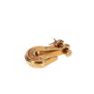 Clevis Hooks 1/4 inch