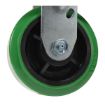 Caster, 5X2 Polyolefin Rigid