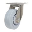 5X2 Tpr Ss Rig Swivel Caster