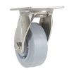 5X2 Tpr Ss Rig Swivel Caster