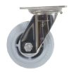5X2 Tpr Ss Rig Swivel Caster