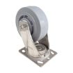 5X2 Tpr Ss Rig Swivel Caster