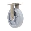 8X2 Tpr Ss Rig Rigid Caster