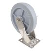 8X2 Tpr Ss Rig Swivel Caster W/Brake