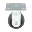 Caster, 4X2 Glass Filled Nylon Light Duty, Rigid