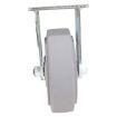 Caster, 6X2 Polyolefin Rigid