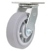 Caster, 6X2 Polyolefin Swivel