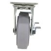Caster, 6X2 Polyolefin Swivel W/ Brake