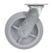Caster, 8X2 Polyolefin Swivel