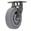 Caster, 6 X 2 Duratek Tpr, Swivel