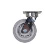 Caster, 6 X 2 Duratek Tpr, Swivel