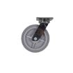 Caster, 8 X 2 Duratek Tpr, Swivel