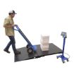Floor Scale Option Approach Ramp 36Lx48W