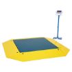 Low Profile Scale 10000 Capacity