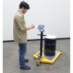 Low Platform Scale, 24X36 Usable