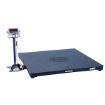 Scale Option - Digital Printer