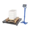 Low Profile Floor Scale 2K Cap 36L X 36W