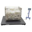 Low Profile Floor Scale 4K Cap 60L X 60W