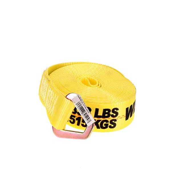 2" x 30' Strap with 11 Delta Ring