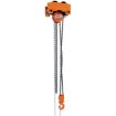 Chain Hoist and Trolley Combination Low Headroom - LOW