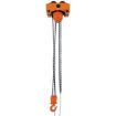 Chain Hoist and Trolley Combination Low Headroom - LOW