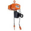 Chain Hoists with Chain Container Economy H-2000