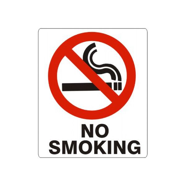 No Smoking  With Smoking Picto - G-486033
