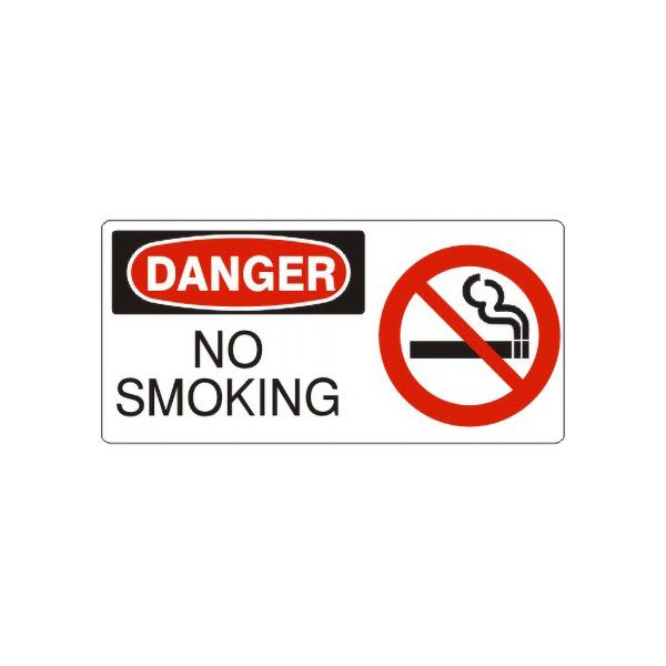 Danger: No Smoking  With Smoking Picto sign, Adhesive Vinyl, 7X17