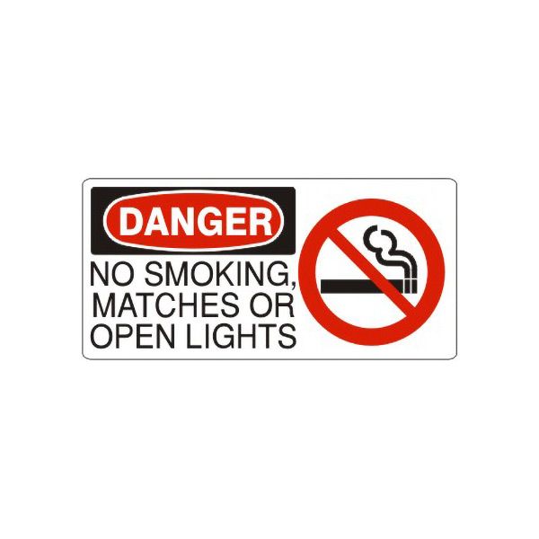 Danger: No Smoking  Matches Or  Open Lights With Smoking Picto, Plastic (.040), 5X12